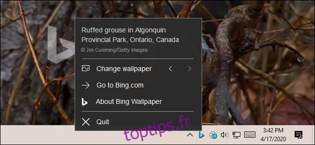Contrôle de l'application Bing Wallpaper à partir de son icône de zone de notification.