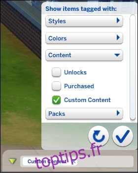 Filtre de contenu personnalisé Les Sims 4