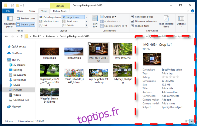 Exemple de volet de détails dans l'Explorateur de fichiers Windows 10