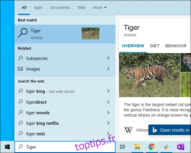 Recherche Bing affichant des informations sur les tigres dans le menu Démarrer de Windows 10.