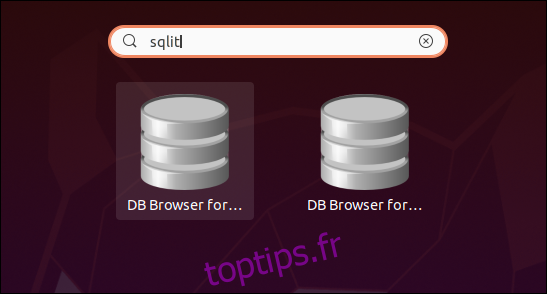 Deux icônes de navigateur de base de données pour SQLite dans les résultats de la recherche.