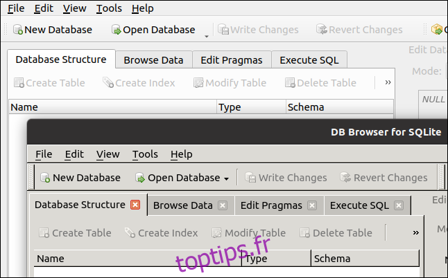 Deux versions de DB Browser pour SQLite s'exécutant dans GNOME.
