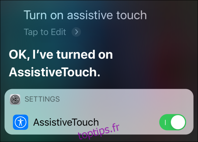Activer AssistiveTouch de Siri