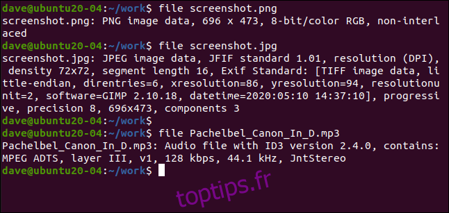 file screenshot.png dans une fenêtre de terminal.