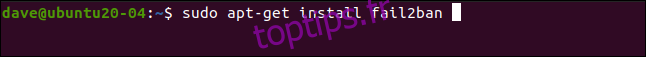sudo apt-get install fail2ban dans une fenêtre de terminal.