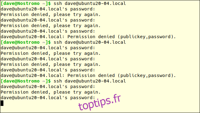 ssh dave@ubtuntu20-04.local dans une fenêtre de terminal avec de nombreuses tentatives de mot de passe infructueuses.