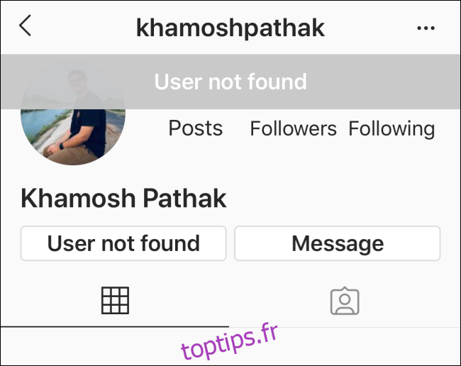 Aucun détail sur la page de profil du profil Instagram qui vous a bloqué