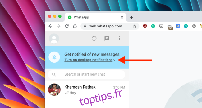 Activer les notifications sur WhatsApp Web