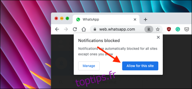 Autoriser les notifications pour WhatsApp Web