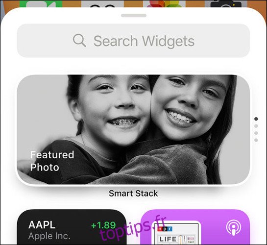 Bibliothèque de widgets iOS 14