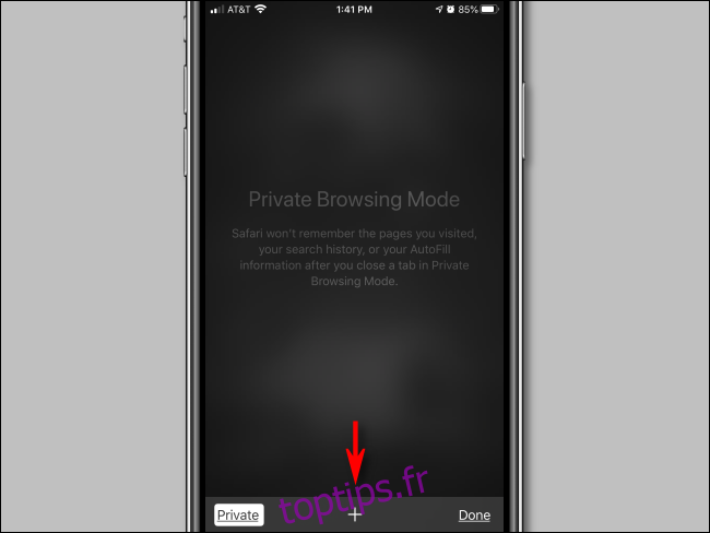 Appuyez sur plus en mode de navigation privée dans Safari pour iPhone