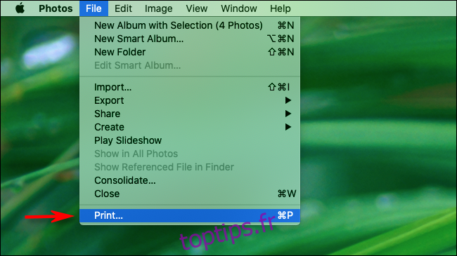 Sélectionnez Fichier et Imprimer dans la barre de menus dans Photos sur Mac