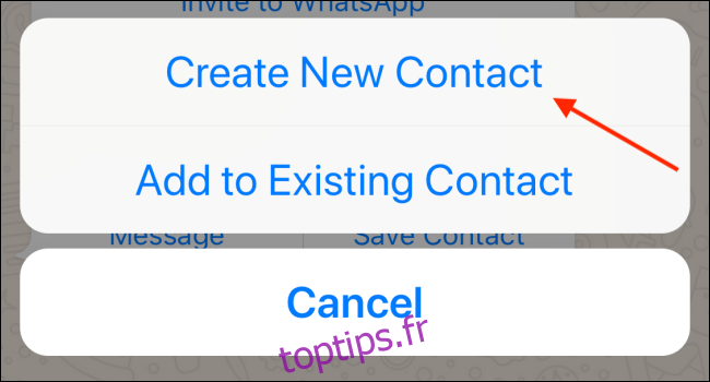 Appuyez sur Créer un nouveau contact dans WhatsApp sur iPhone