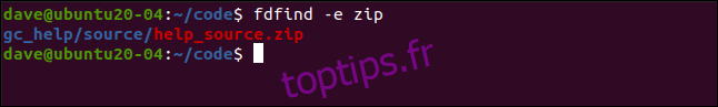 fdfinf -e zip dans une fenêtre de terminal.