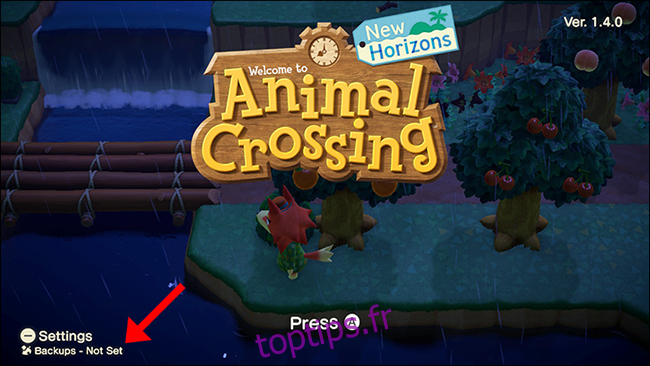 Sauvegarde Animal Crossing New Horizons non définie
