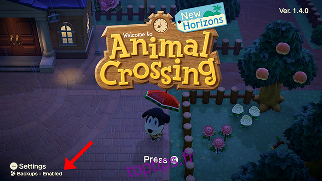 Sauvegarde Animal Crossing New Horizons activée