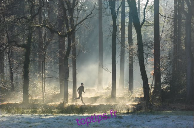 Un coureur dans une forêt brumeuse.