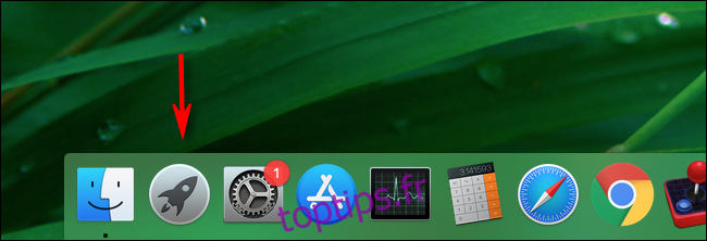 Cliquez sur Launchpad dans le dock de votre Mac pour le lancer.