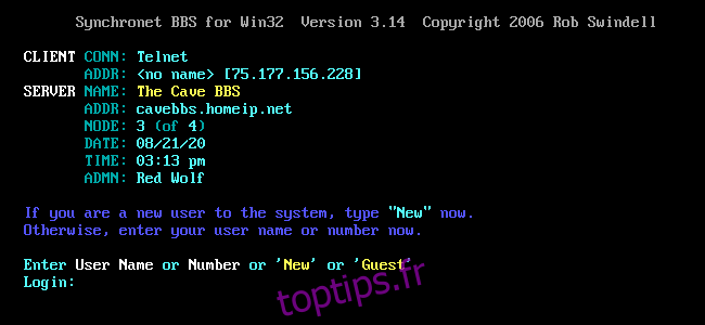 L'écran de connexion de Cave BBS dans une fenêtre SyncTERM.