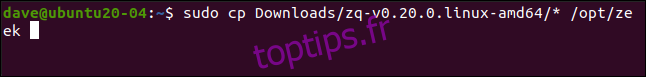 sudo cp Downloads / zq-v0.20.0.linux-amd64 / * / opt / Zeek dans une fenêtre de terminal.