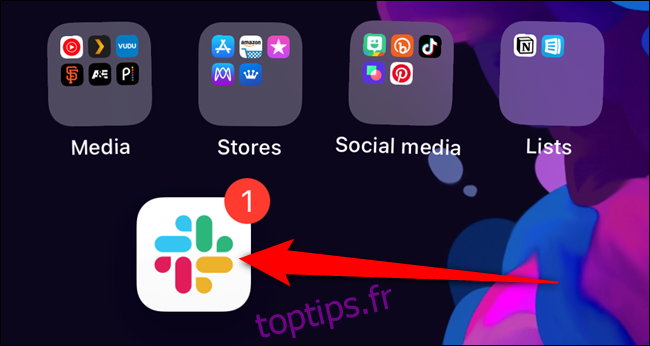 L'icône de l'application apparaîtra sur l'écran d'accueil de votre iPhone