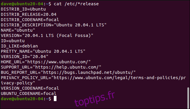 cat / etc / * release dans une fenêtre de terminal.