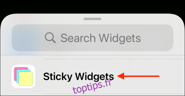 Appuyez sur Sticky Widgets dans la liste des widgets