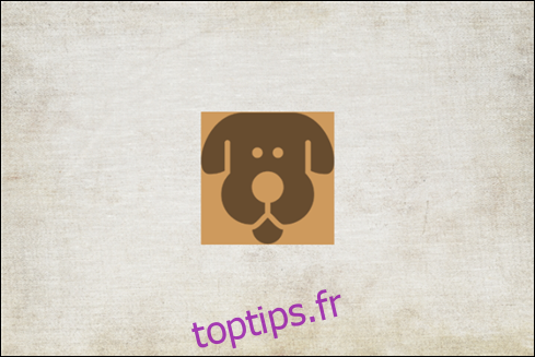 Le logo Dog Ipsum.