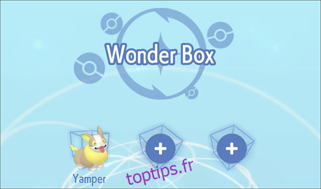 Un personnage nommé Yamper dans une Pokémon Home Wonder Box.