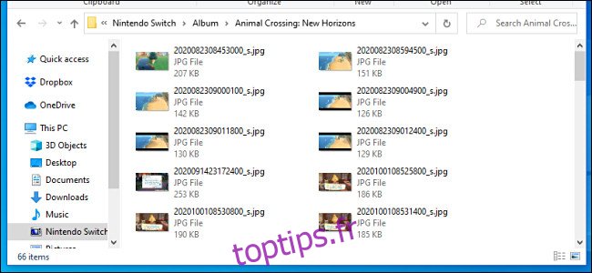 Une liste des captures d'écran et des images vidéo de la Nintendo Switch, vues sur un PC Windows via un câble USB.