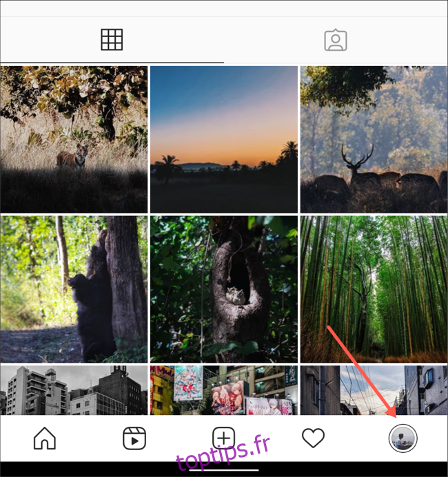 Visitez l'onglet de profil sur l'application Instagram