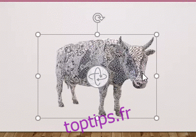 Rotation de la vache GIF