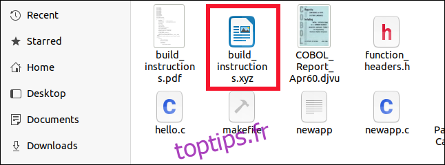 Fichier OpenDocument correctement identifié dans le navigateur de fichiers Fichiers, même si son extension est XYZ.