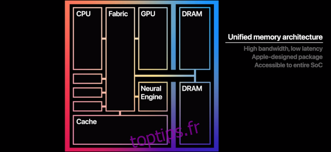 Un graphique affichant les différentes parties du processeur M1.