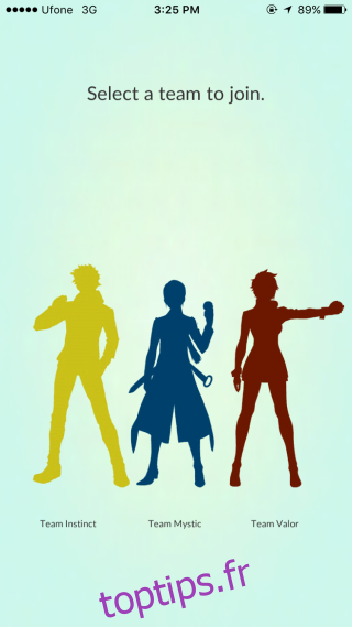 équipe de sélection pokemon