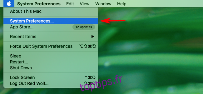 Lancez les préférences système à partir du menu Apple sur un Mac
