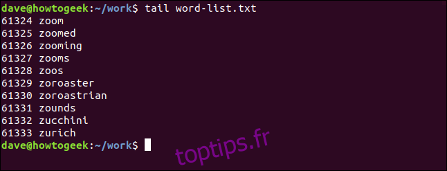 tail word-list.txt dans une fenêtre de terminal