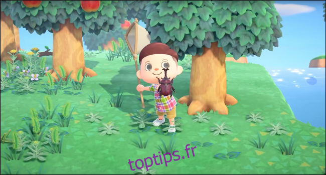 Collecter des bugs dans le jeu Animal Crossing: New Horizons
