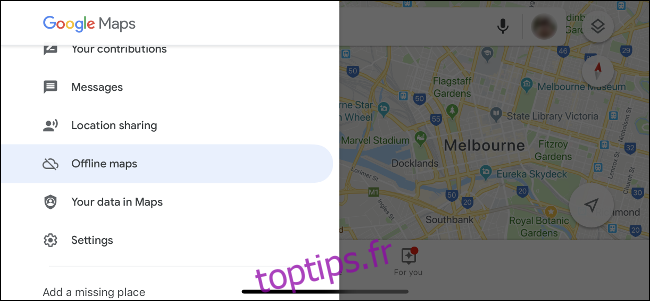 Google Maps pour iPhone Offline Maps.