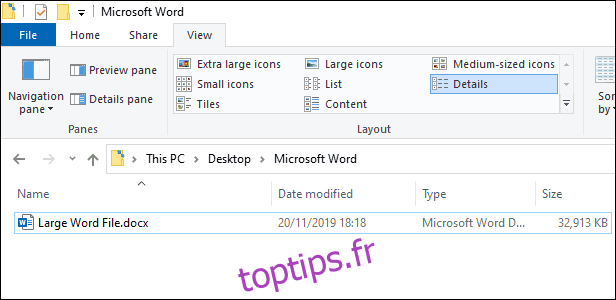 Un gros fichier Microsoft Word (32 Mo) dans l'Explorateur de fichiers Windows.