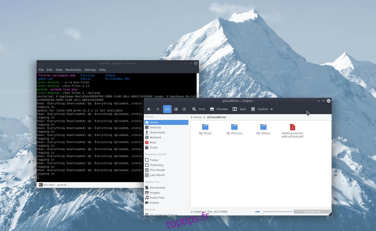 Comment accéder à votre lecteur pCloud sous Linux ~ toptips.fr
