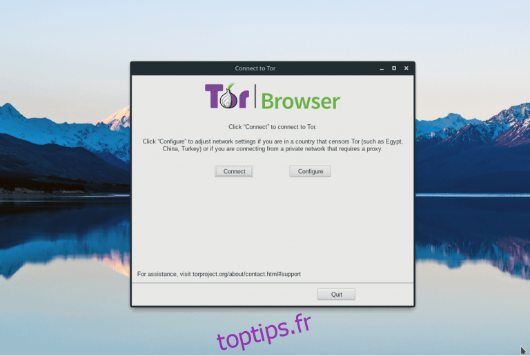 tor browser linux 32 bit