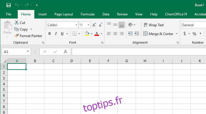 Microsoft Excel pour Windows (détail)