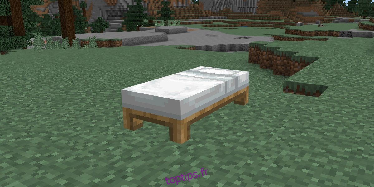 lit dans Minecraft