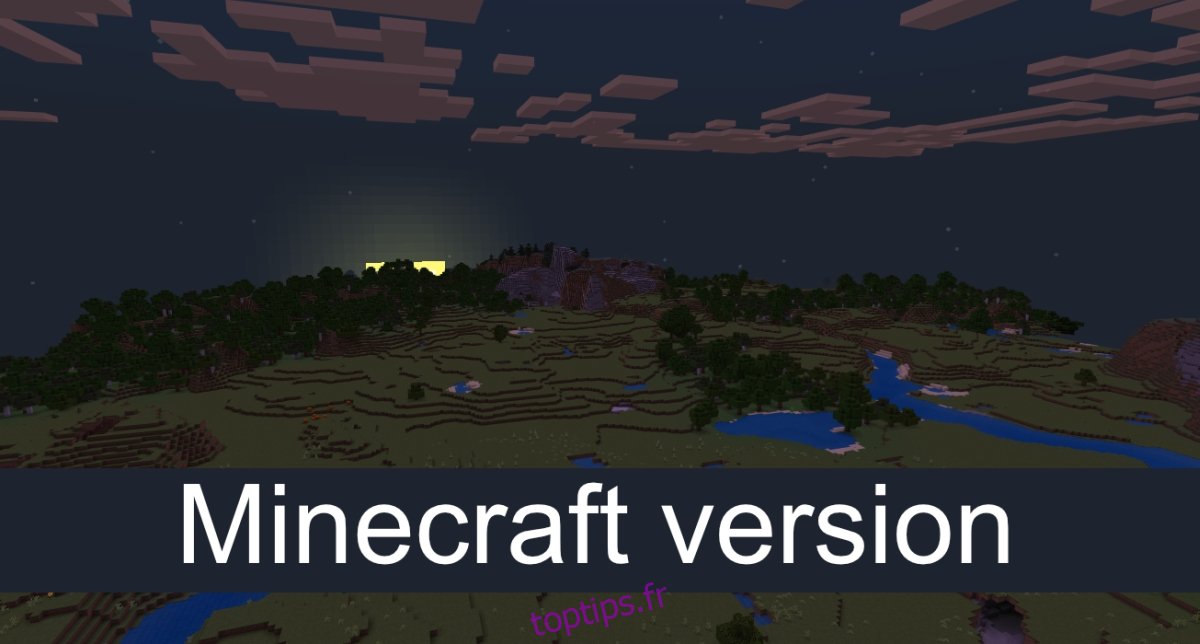 Version Minecraft