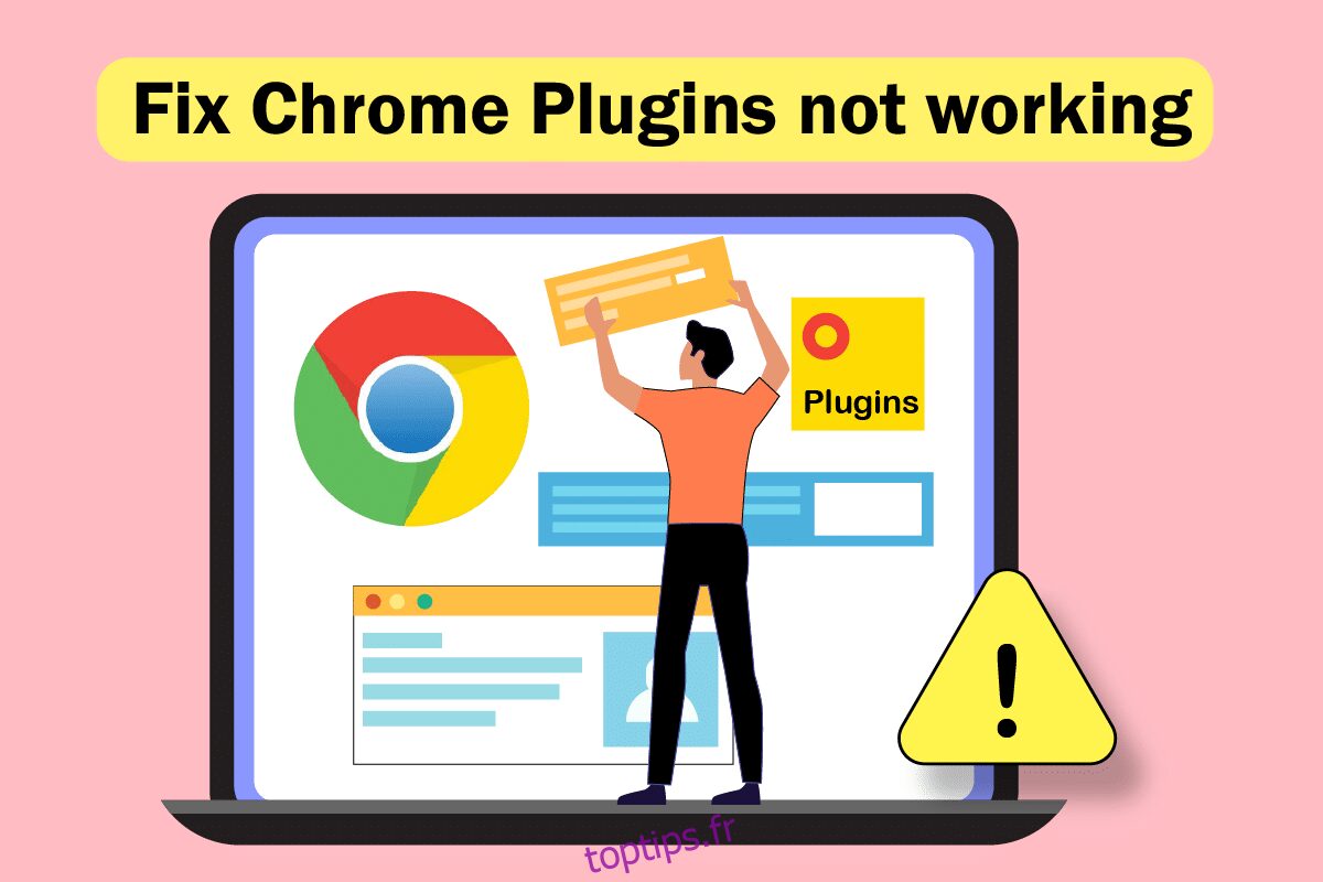 Correction des plugins Chrome ne fonctionnant pas sous Windows 10