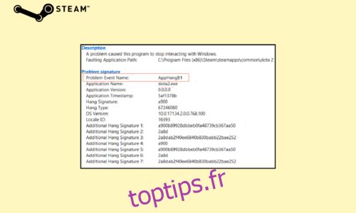 Correction de l’erreur AppHangB1 sur Steam