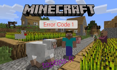 Que signifie le code d’erreur 1 sur Minecraft ? Comment le réparer
