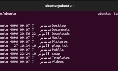 Comment exécuter périodiquement un programme à l’aide de la commande Watch sous Linux